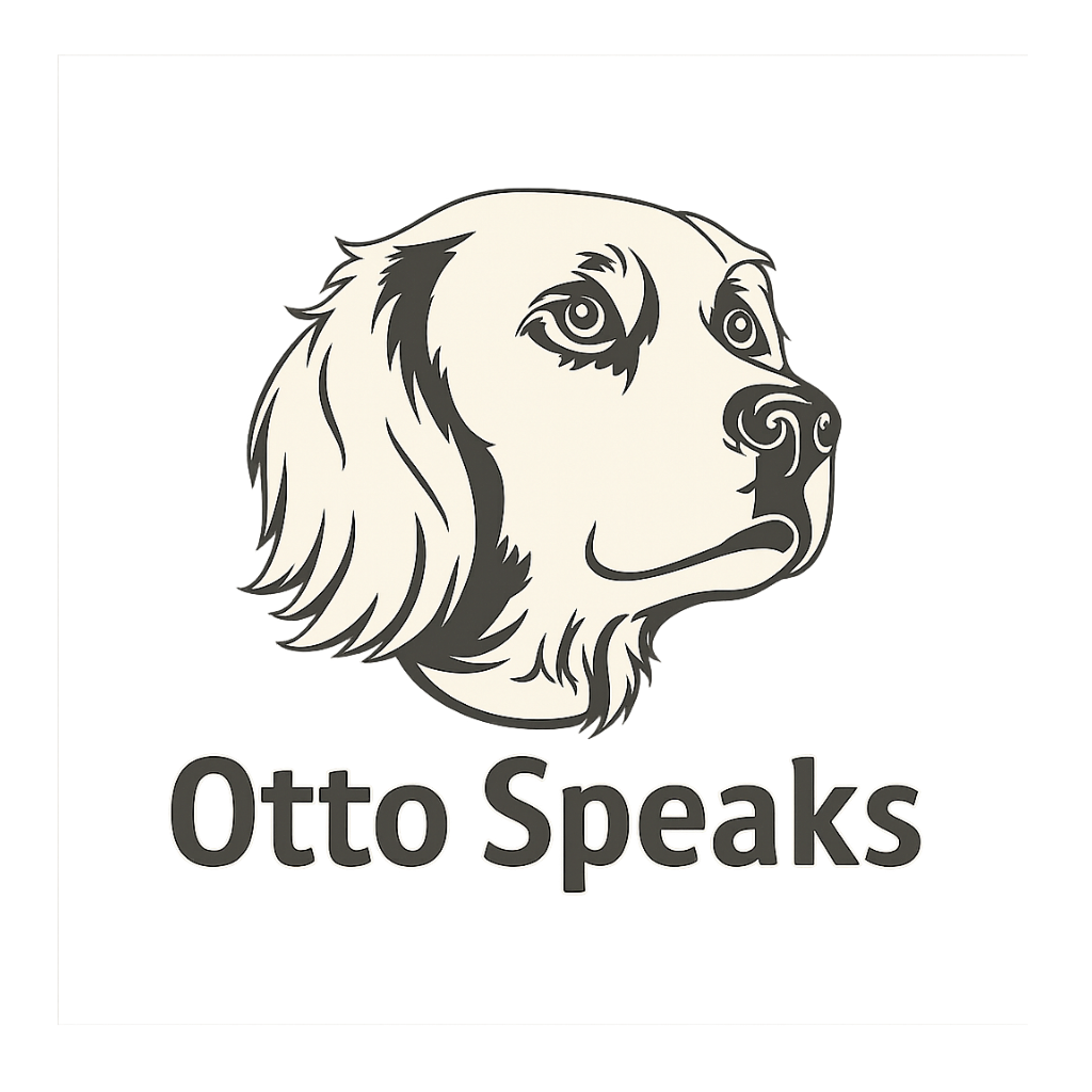 ottospeaks.com